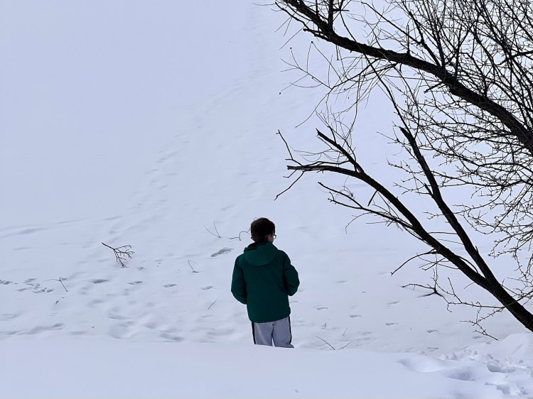 A Dream for&nbsp;Spring