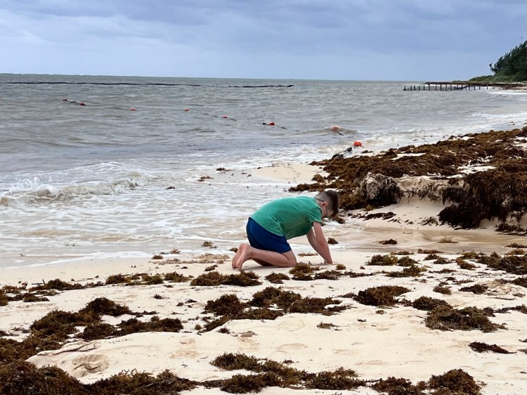 Finding Grace in the Special Needs Caregiving&nbsp;Journey